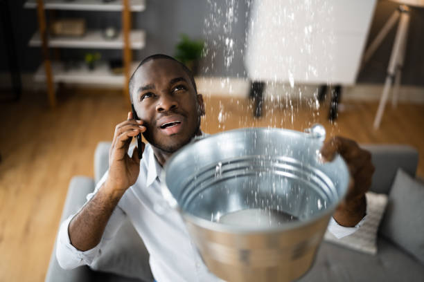 Best Residential water damage restoration  in St Pauls, NC