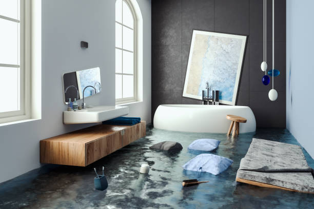 Best Professional water damage repair  in St Pauls, NC