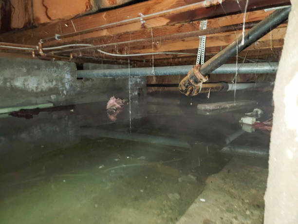 Best Water damage restoration specialists  in St Pauls, NC