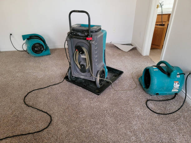 Best Fire Damage Restoration  in St Pauls, NC