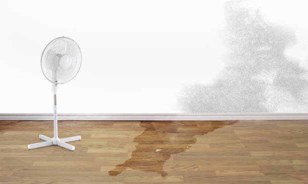 Best Flood restoration services  in St Pauls, NC