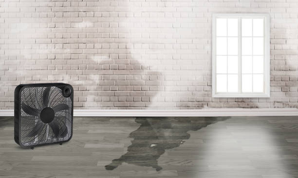  St Pauls, NC Water damage restoration Pros