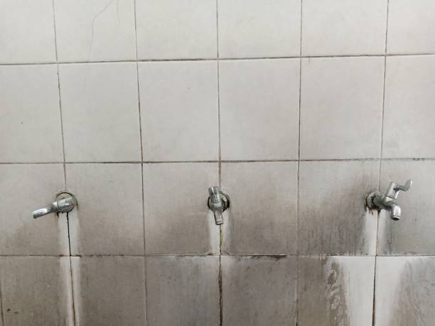 Best Emergency water damage restoration  in St Pauls, NC