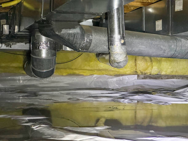 Best Sewage cleanup and water damage restoration  in St Pauls, NC
