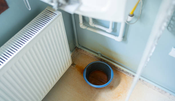 Best Basement water damage restoration  in St Pauls, NC