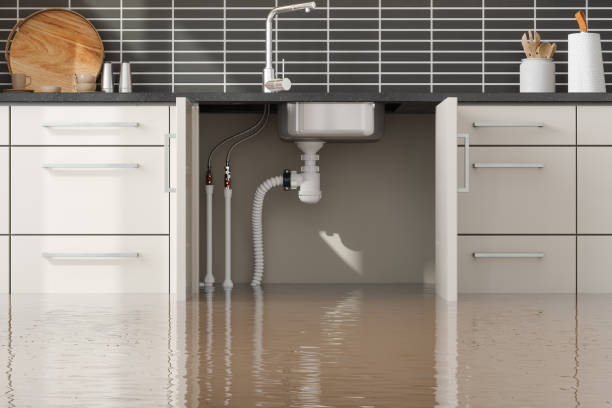Trusted St Pauls, NC Water damage restoration Experts