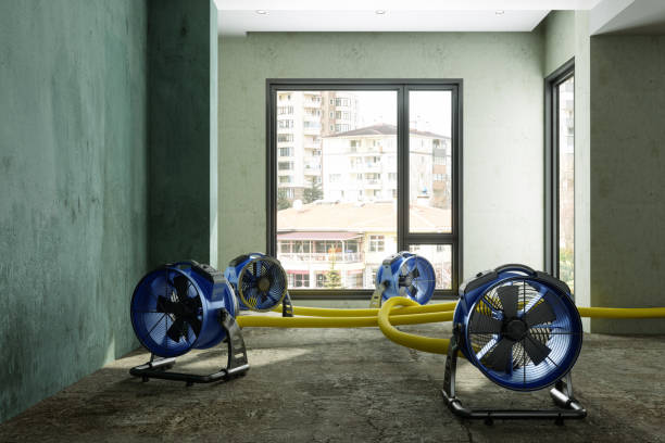 Best Water damage restoration company  in St Pauls, NC