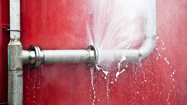 Best Water damage mitigation services  in St Pauls, NC