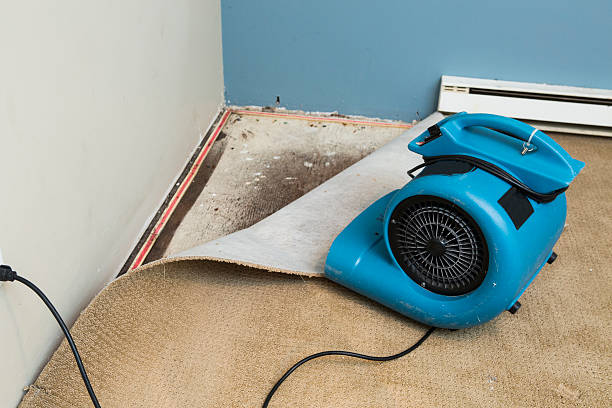 Best Sewage cleanup and water damage restoration  in St Pauls, NC